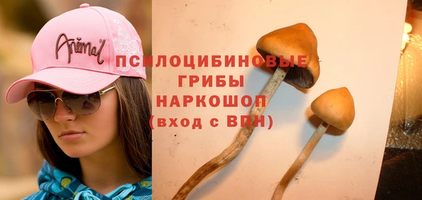 PSILOCYBIN Куйбышев
