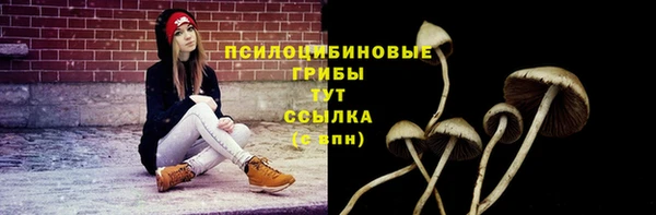 PSILOCYBIN Куйбышев